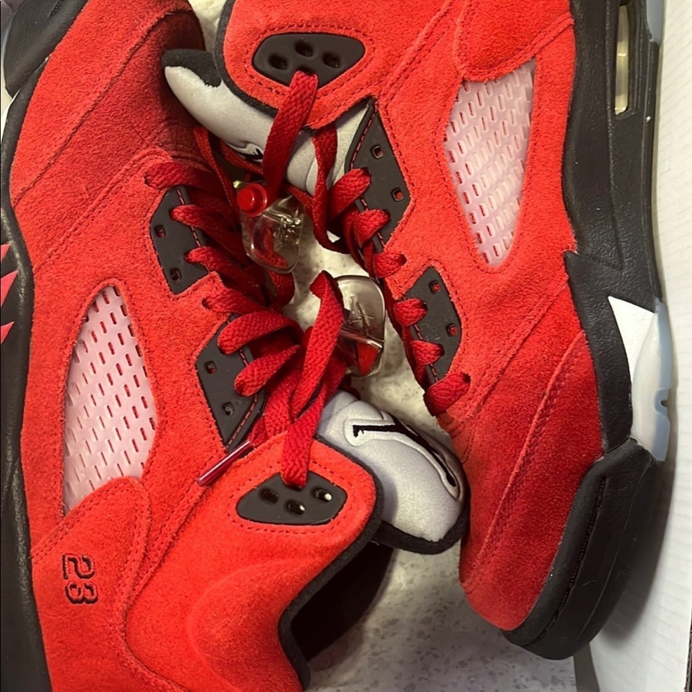 Air Jordan Raging Bulls